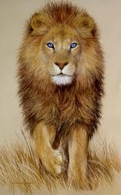 lionblueeye.jpg